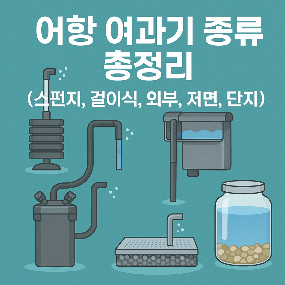 어항 여과기 종류 총정리 (스펀지, 걸이식, 외부, 저면, 단지)