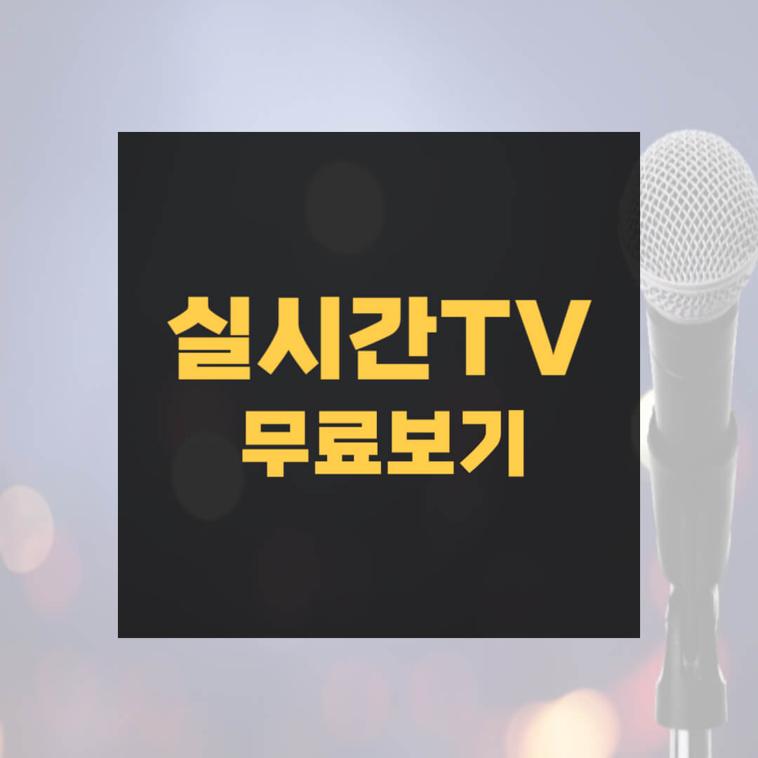 실시간TV 무료보기