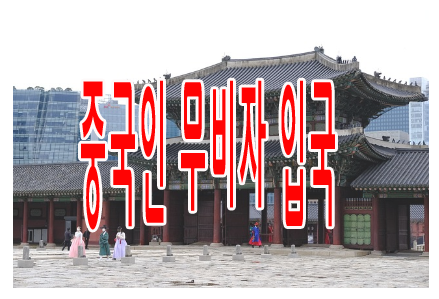 중국인 무비자 입국