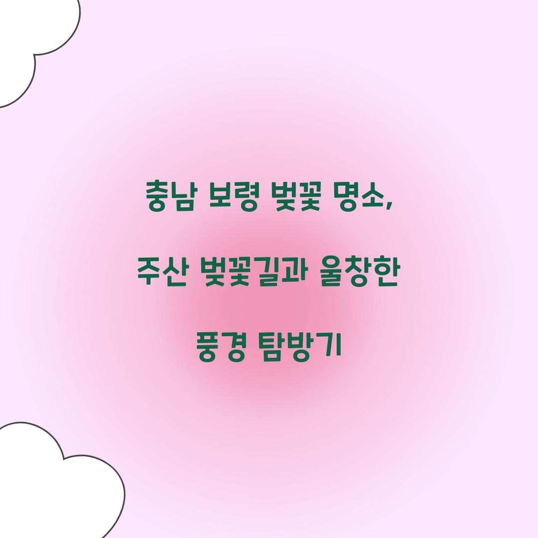 충남 보령 벚꽃 명소