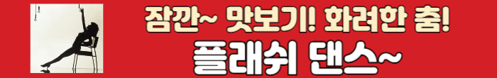 플래시 댄스