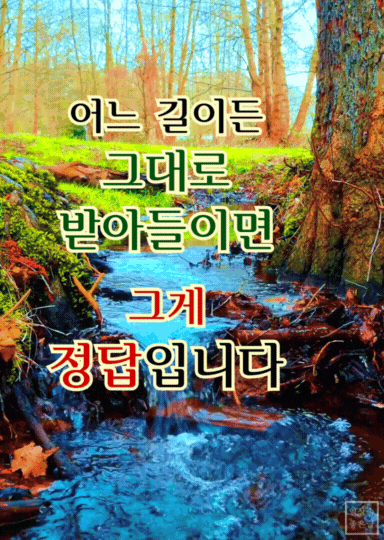 흐르는 물과 자연 속에서 전하는 인생에 정답이 없다는 깨달음 이미지