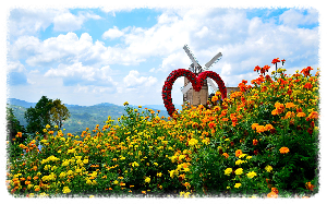 시라오 플라워 가든