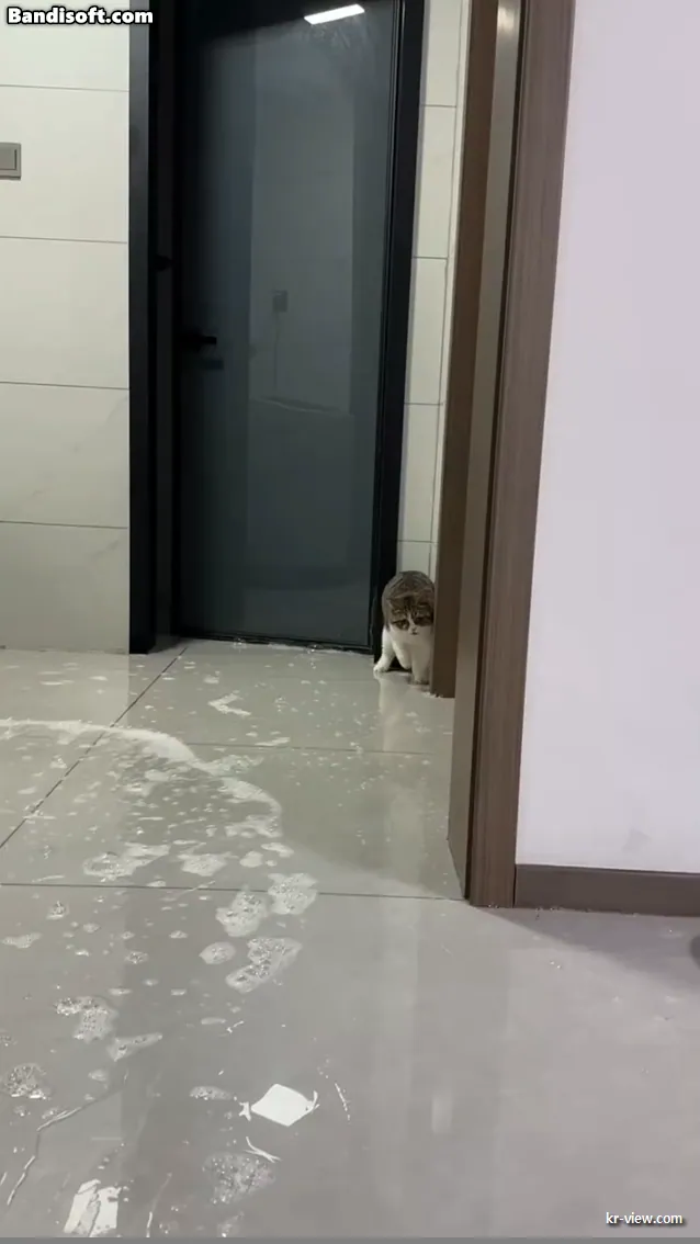 img.webp?credential=yqXZFxpELC7KVnFOS48ylbz2pIh7yKj8&expires=1767193199&allow_ip=&allow_referer=&signature=8Fqu4AVbB3EoMlyxAWKJQDtIgng%3D