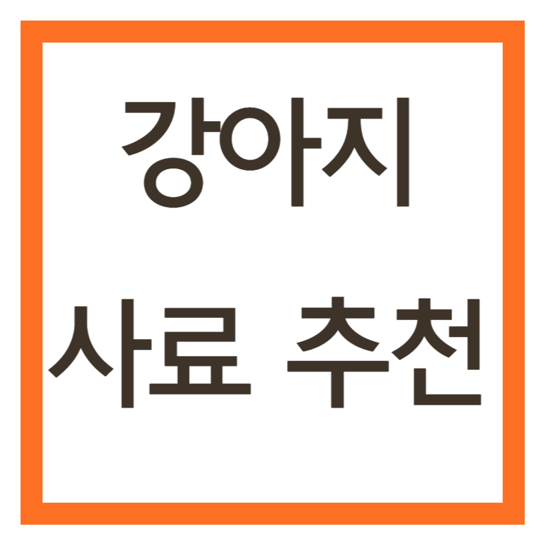 강아지 사료 추천