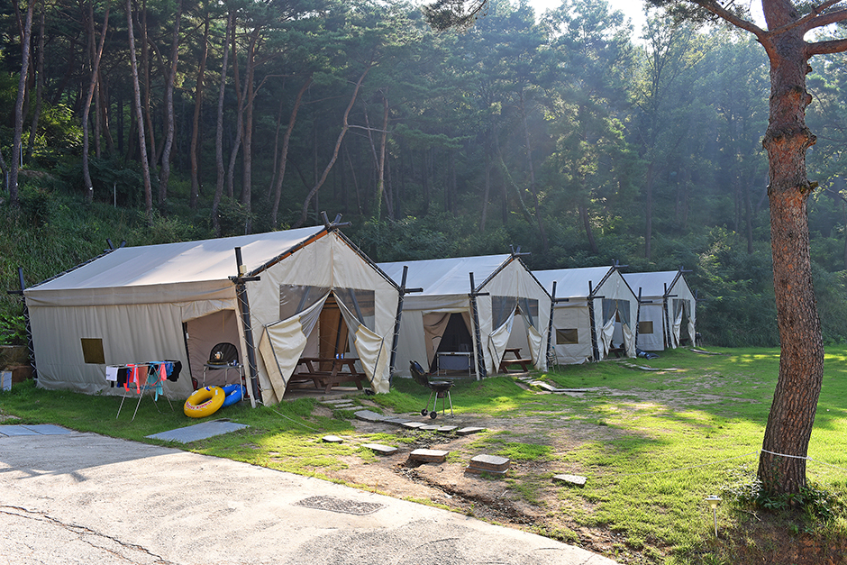 마이웨이 리조트 관광농원