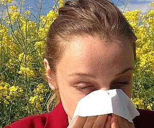 코막힘 비염 증상