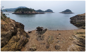 대장도