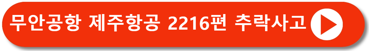 버드스트라이크 - 항공기 사고의 원인