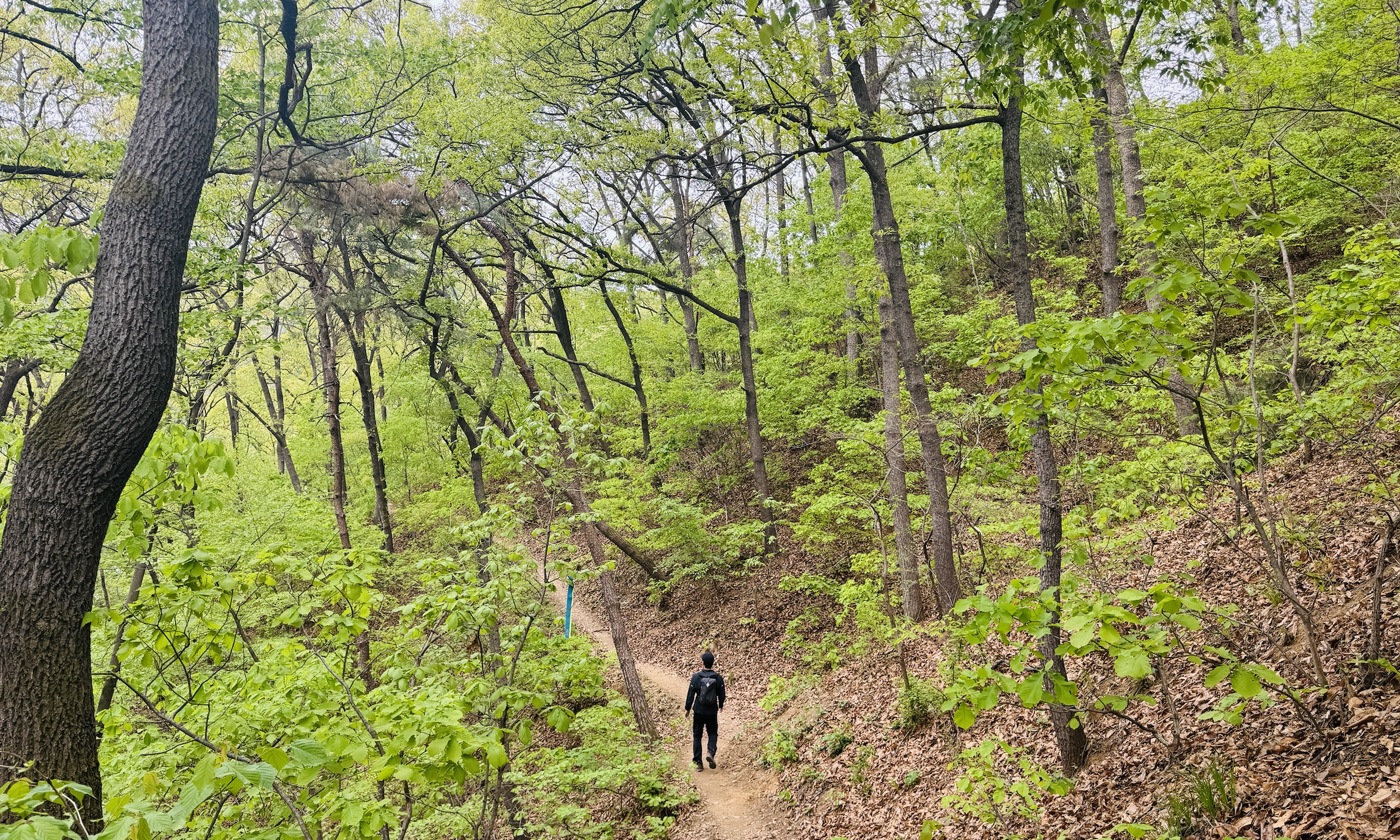 원주굽이길 1코스