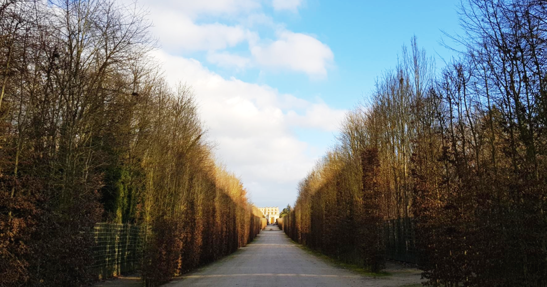 베르사유 정원에서 바라본 베르사유 궁전