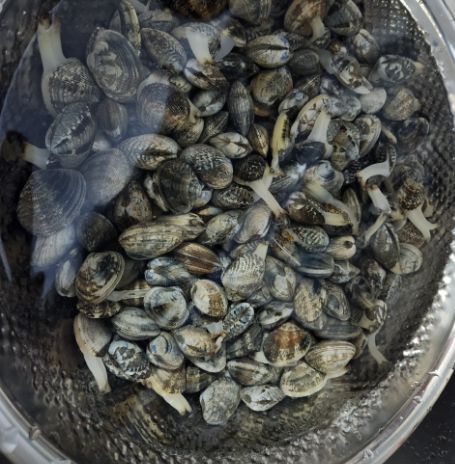 내리어촌계 체험마을