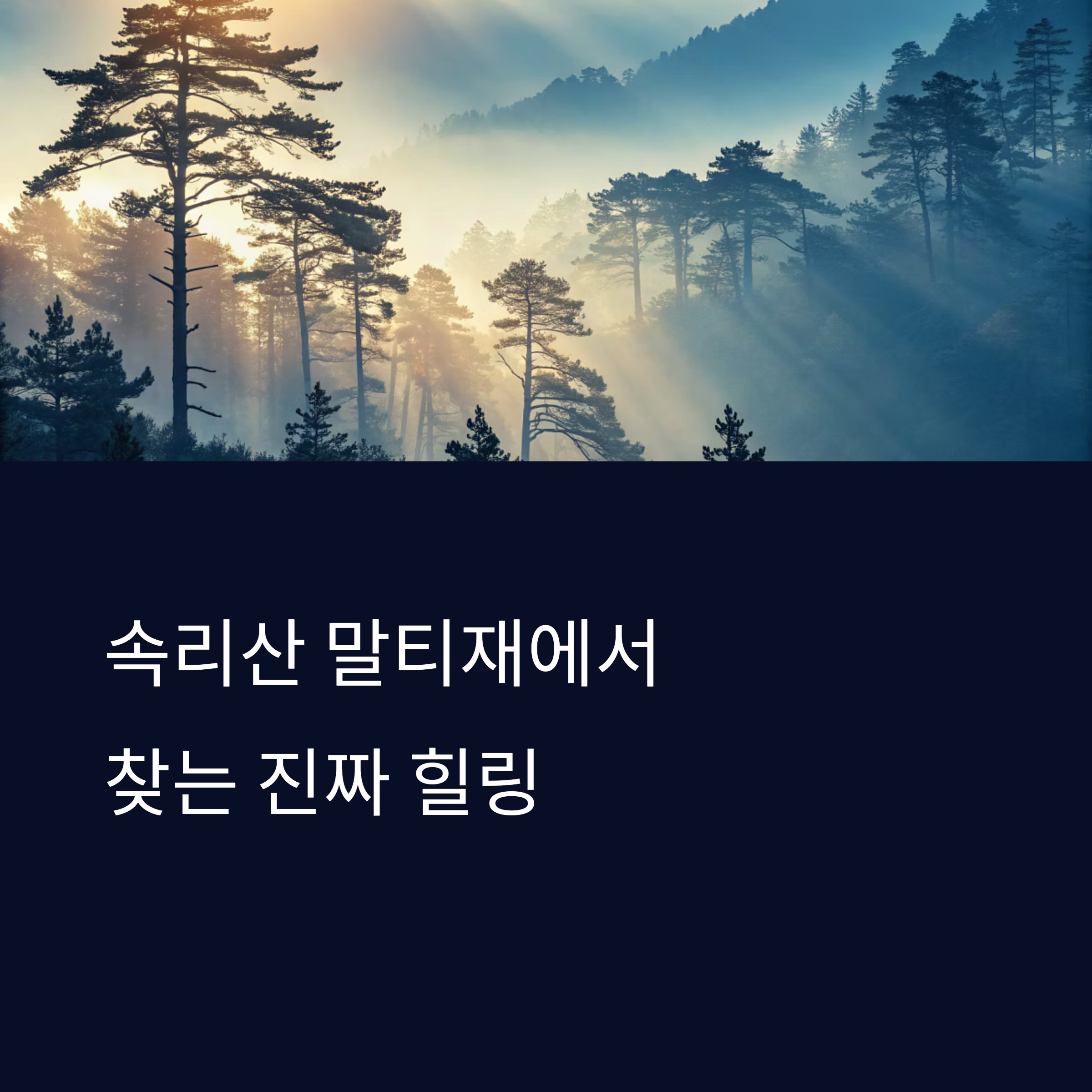 속리산 말티재 자연휴양림에서 만나는 치유와 힐링 여행