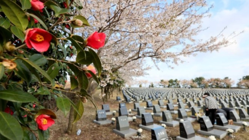 서북청년단 제주도 학살 만행