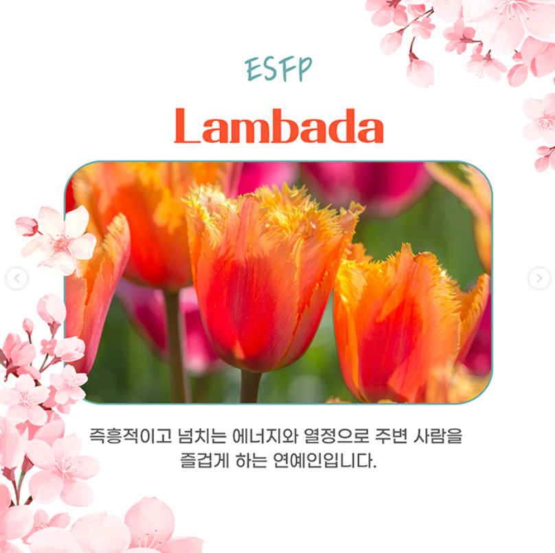 태안 세계튤립꽃박람회 추천