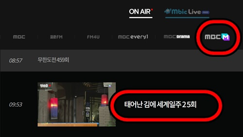 태어난 김에 세계일주2 태계일주2 방송시간