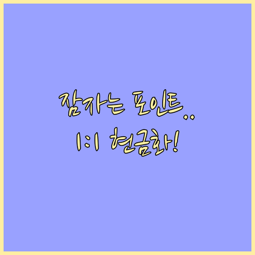 잠자는 카드 포인트 1:1 비율로 현..