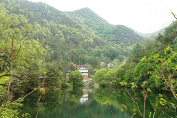 2. 국립 속리산말티재 자연휴양림