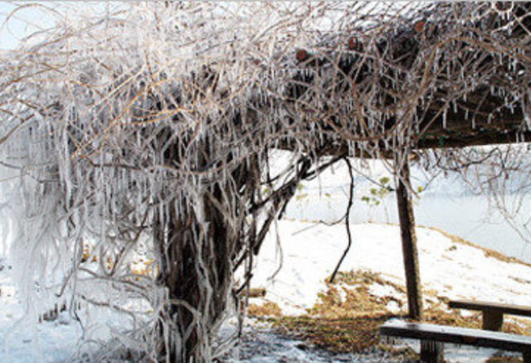 안성 동막골 빙어축제