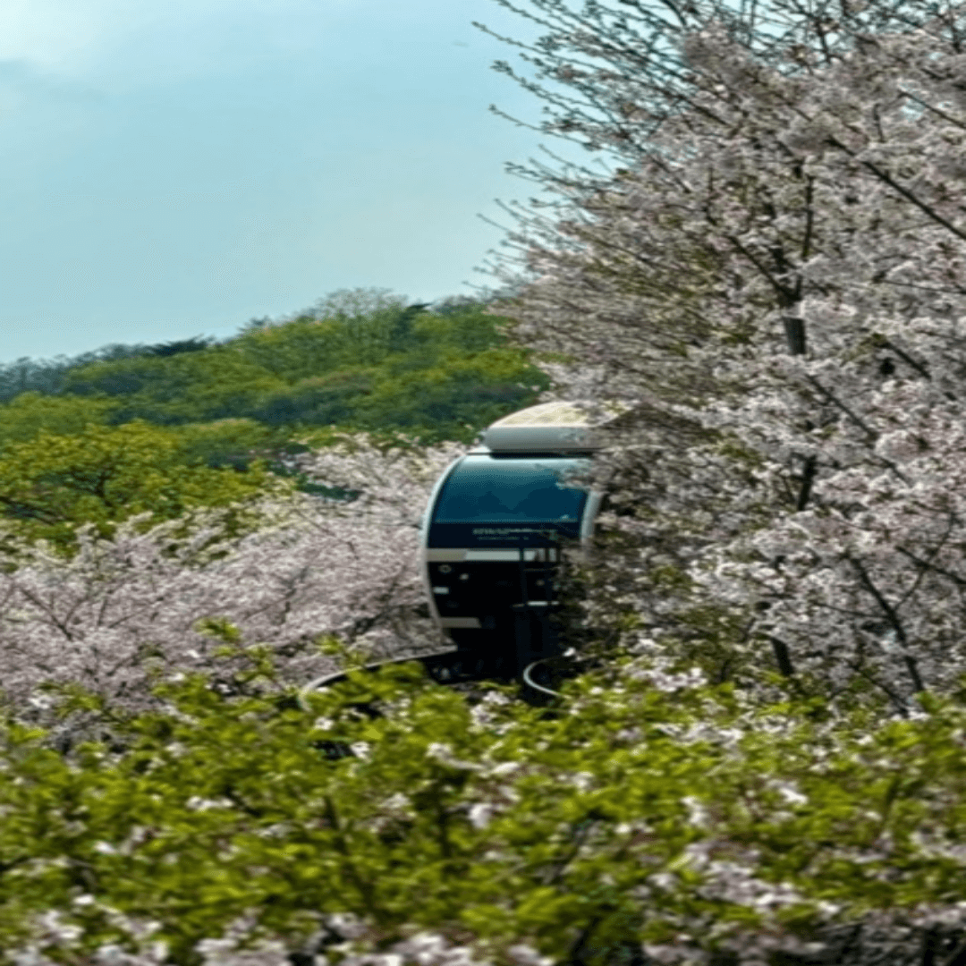 50대 여자친구들과 가기 좋은 국내 힐링 여행지