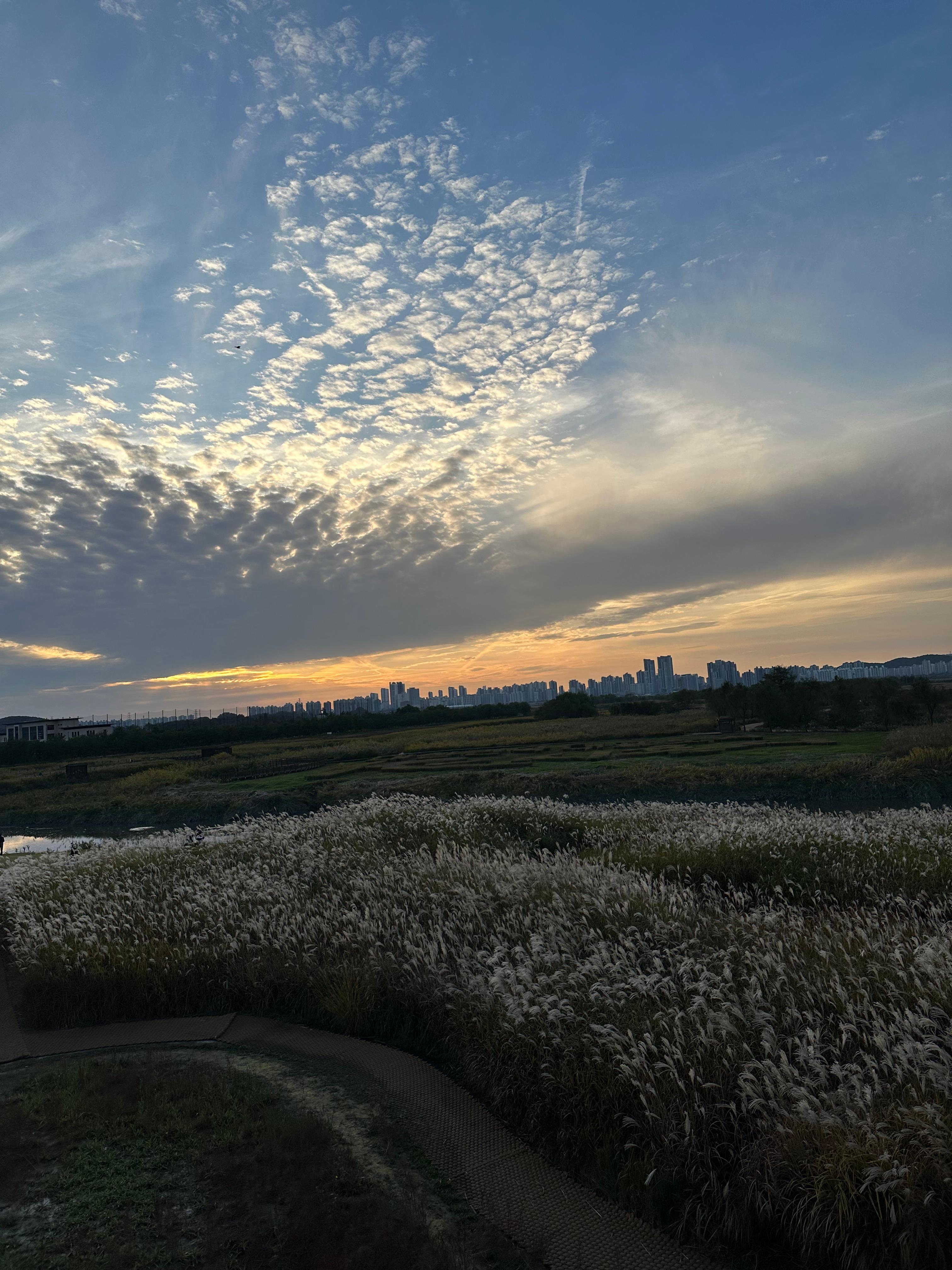 시흥 갯골생태공원 가을 나들이 후기-4