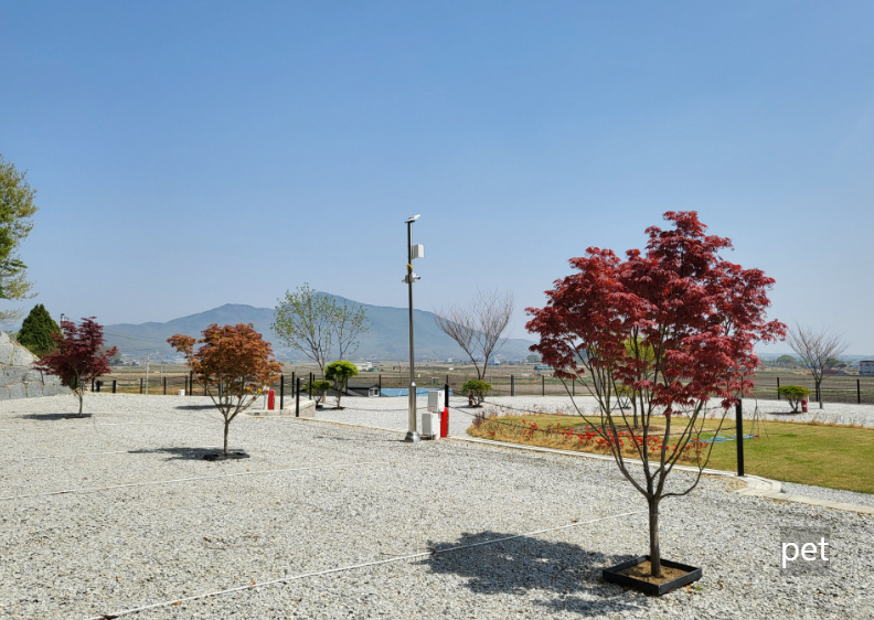 경기-인천-어썸캠핑장-예약-방법-애견-동반-가격-주소-시간-후기