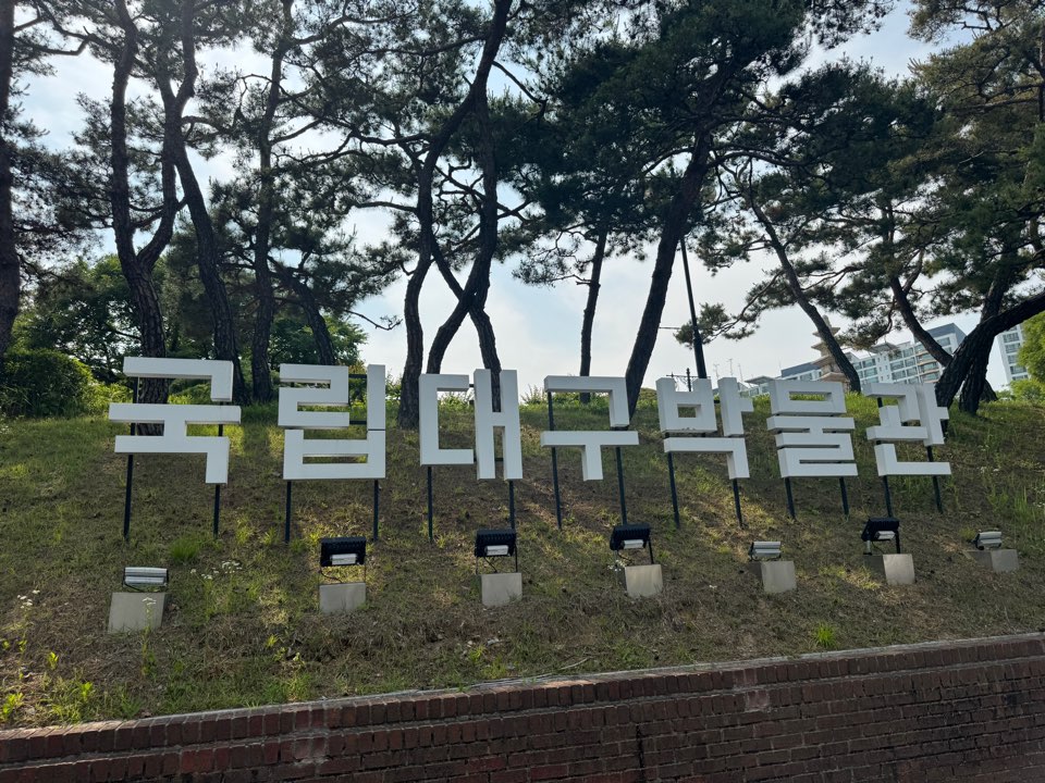 [대구박물관 관람 가이드] 어린이 체험존·디지털아트·전시실·주차·예약 안내