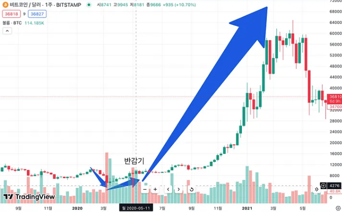 2020년 반감기