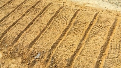 당근재배-종자-씨앗-파종방법-심는방법