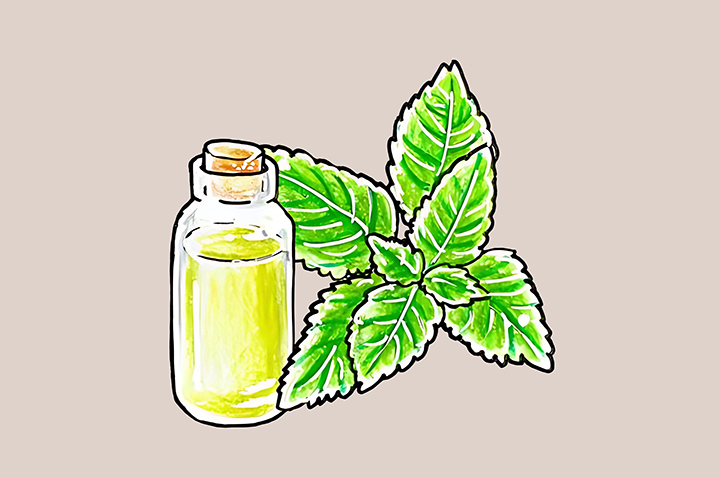 페퍼민트-하루-섭취-권장량