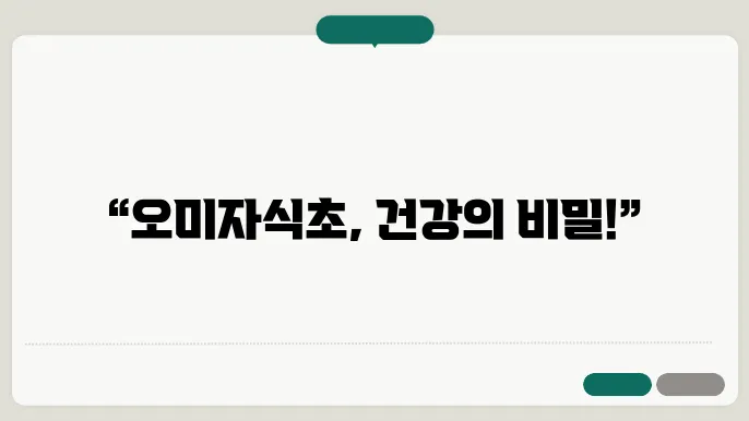 오미자식초의 면역력 강화