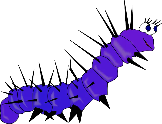 벌레가 몸에 붙어 있는 꿈