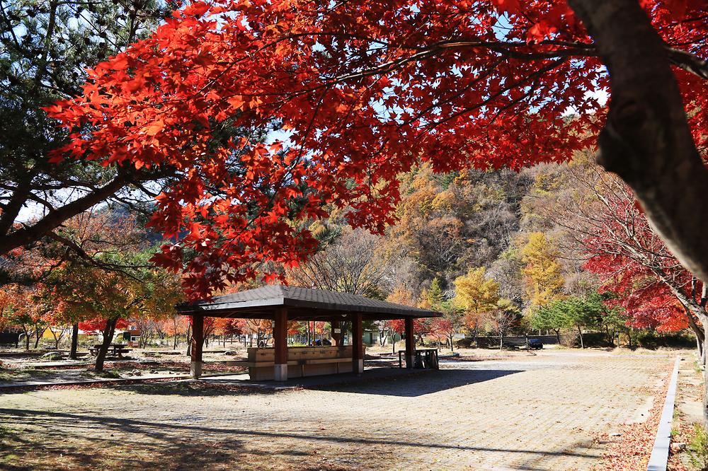 지리산 달궁자동차야영장

전북 남원시 산내면 덕동리 274