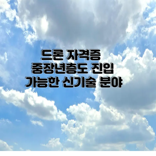 드론 자격증