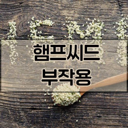 햄프씨드 부작용