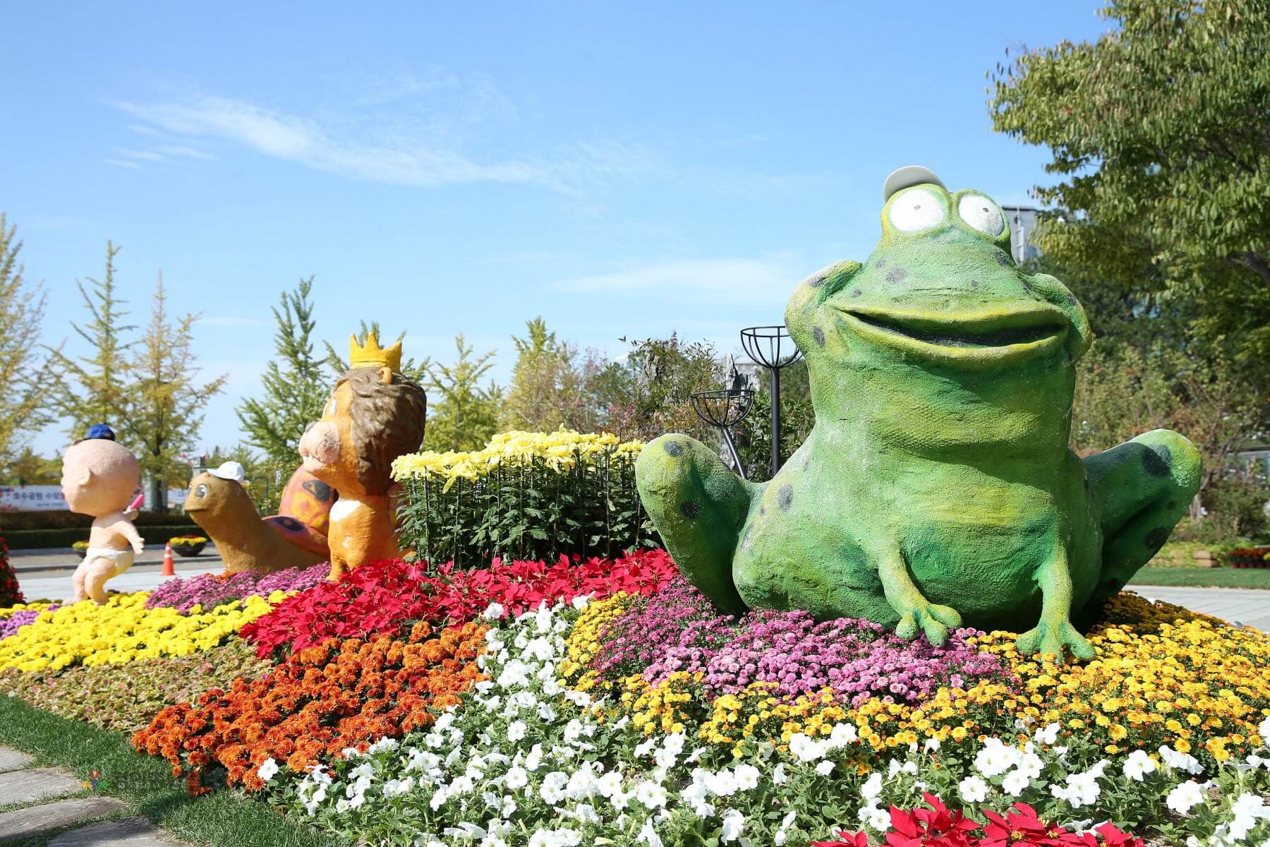 고양 일산 호수공원 가을 꽃 축제