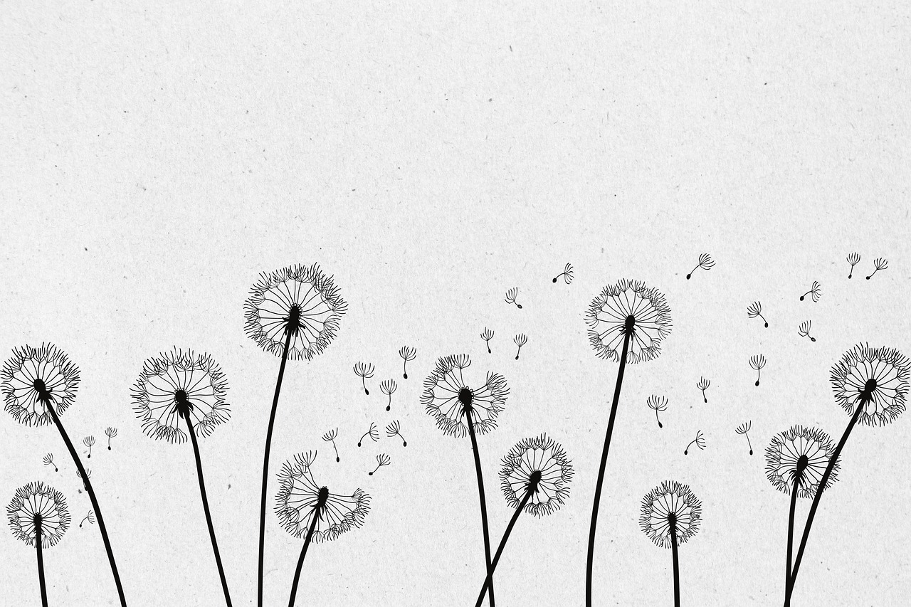 ‘장례 없는 죽음’