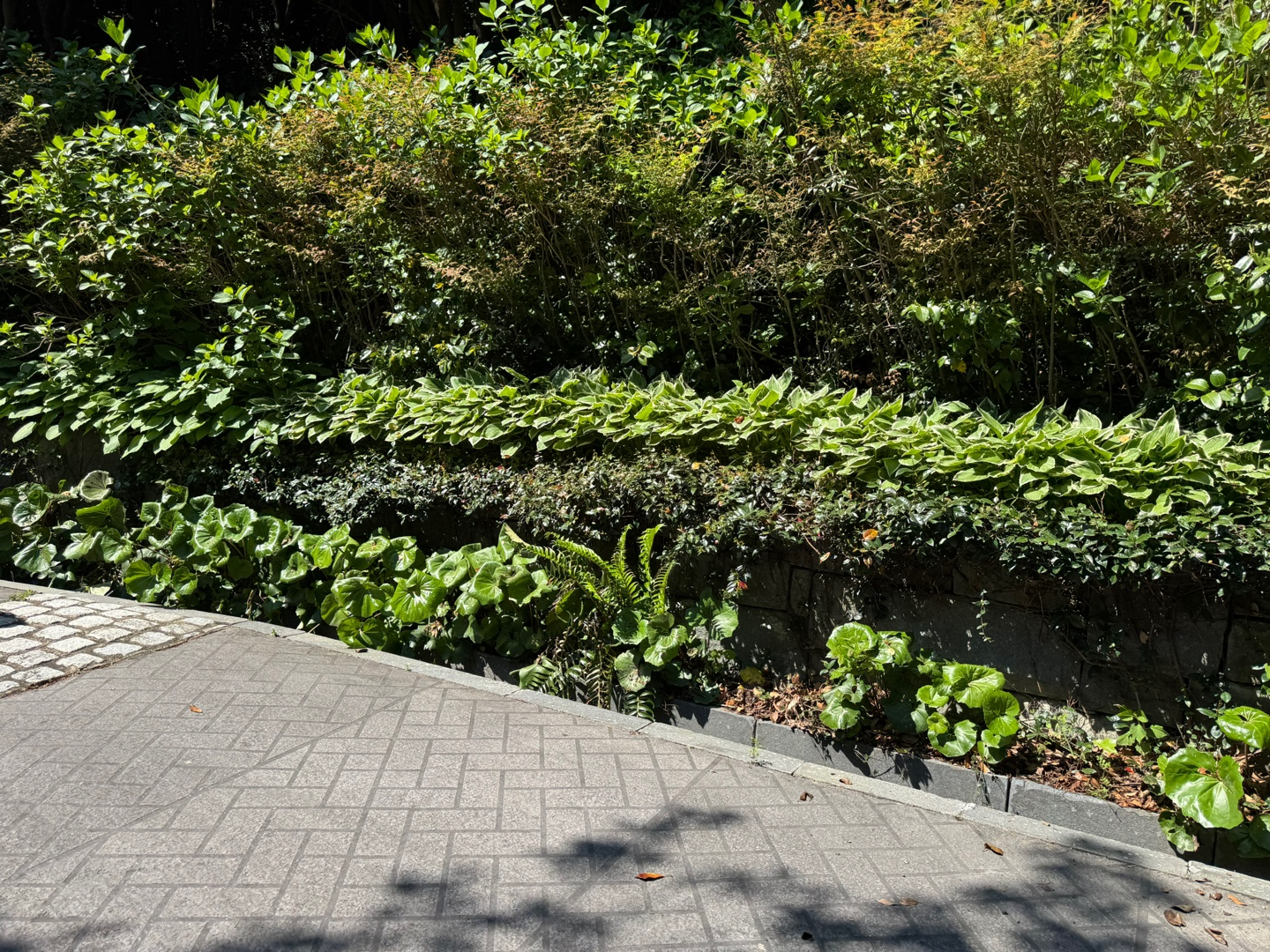 장사도 입구 이미지