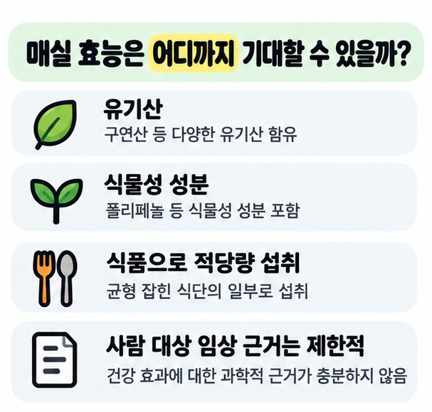 매실의 유기산과 식물성 성분, 임상 근거가 제한적이라는 점을 보여주는 그림