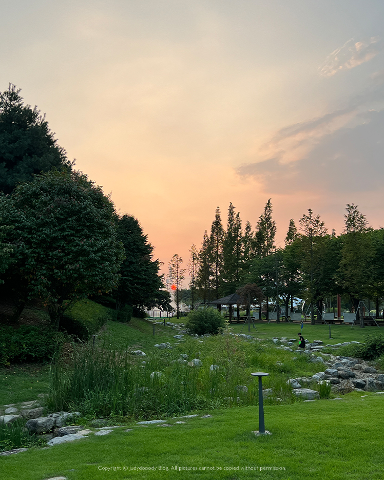 여름 걸포공원 사진