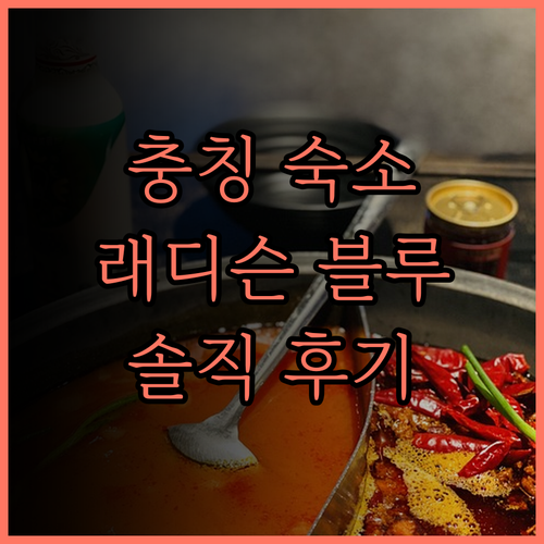 래디슨 블루 호텔 충칭 샤핑바 완벽