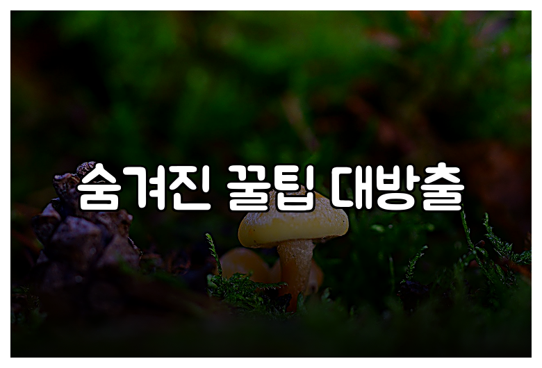 숨겨진 꿀팁 대방출