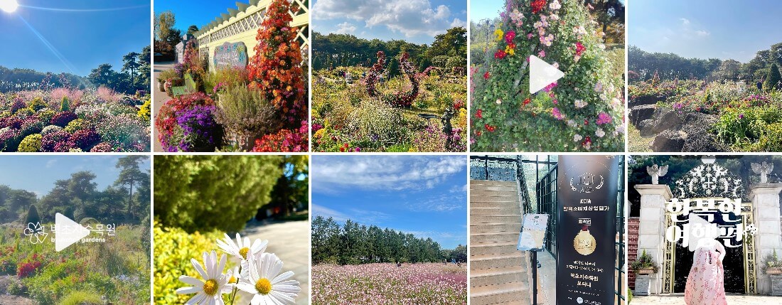 벽초지 수목원 가을꽃 국화축제에는 동양과 서양의 모습을 모두 볼 수 있는 수목원입니다