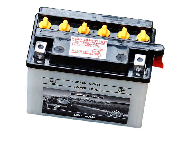 LG에너지솔루션과 삼성SDI의 미국 LFP 배터리 공장설립이유와 전략