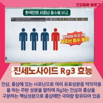 홍삼정 선물 진세노사이드 함량 제형 스틱 복용 편의 위주 선택 가이드_2