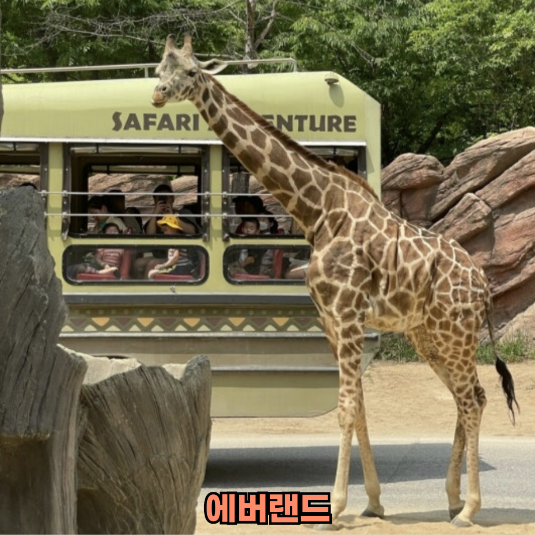 에버랜드