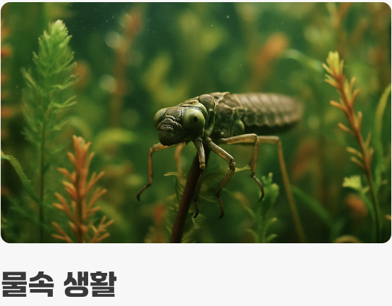 오직 1급수에서만 사는 까다로운 황제