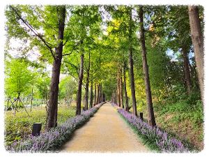 영천생태지구공원