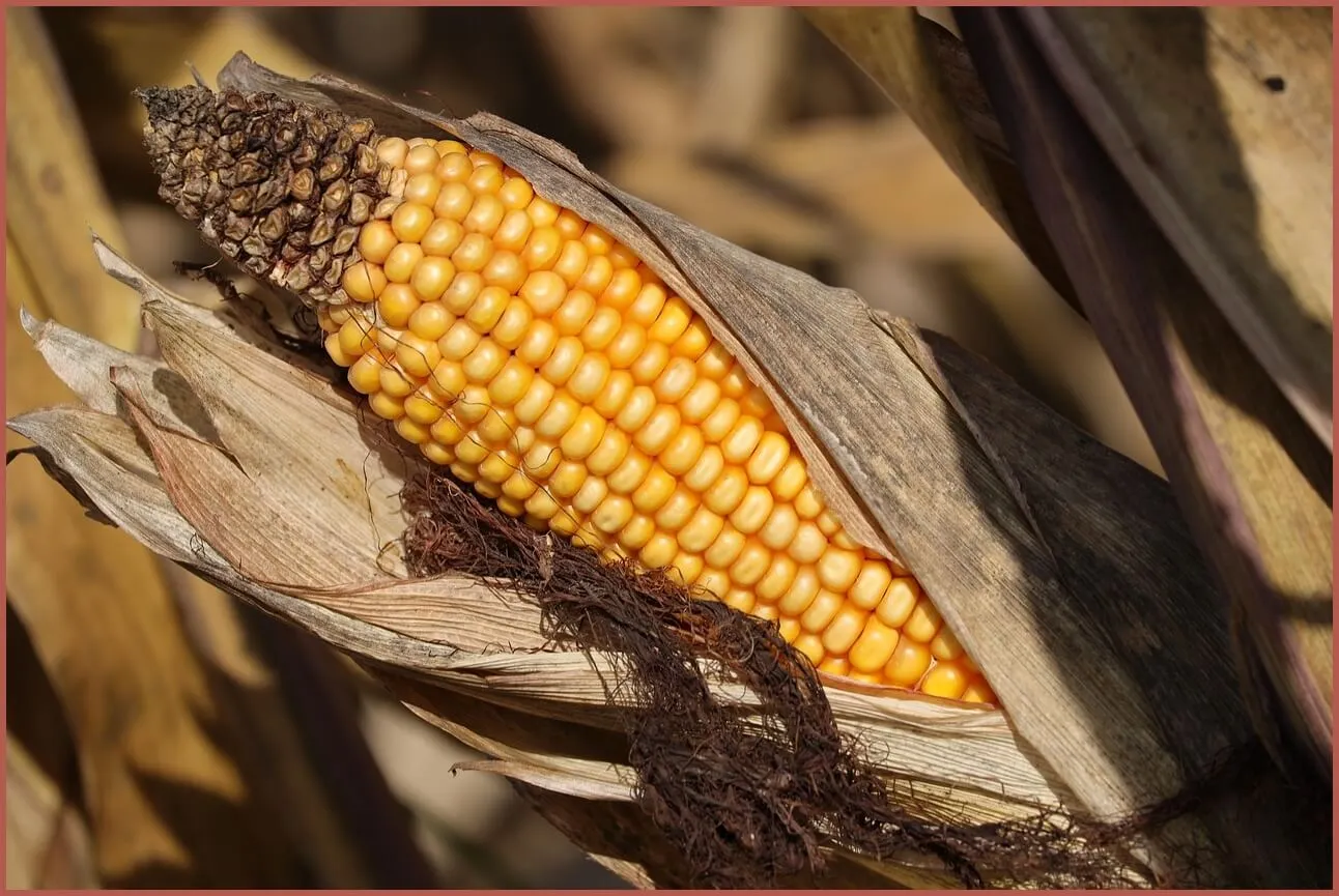 정기예금 금리비교