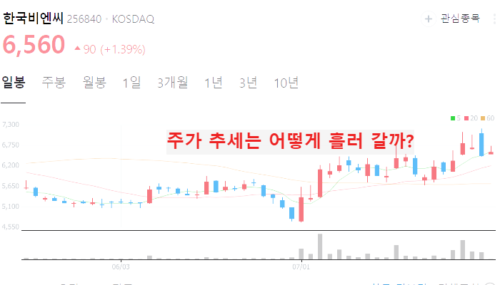 마리화나 관련주 대장주 TOP5 : 대마 합법화